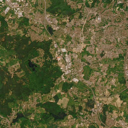 Satelita