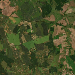 Satelita