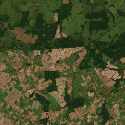 Satelita
