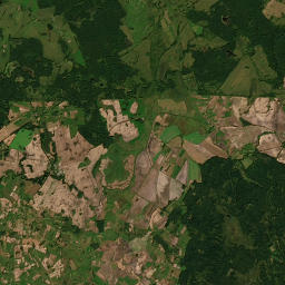 Satelita
