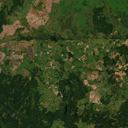 Satelita