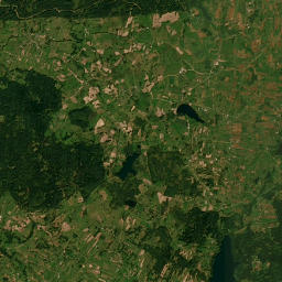 Satelita