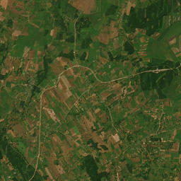 Satelita