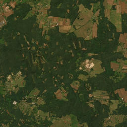 Satelita