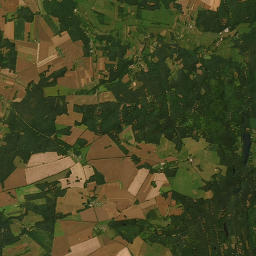 Satelita