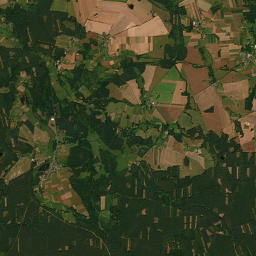 Satelita