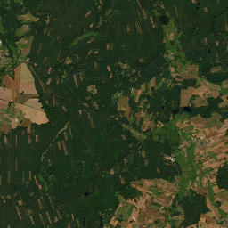 Satelita