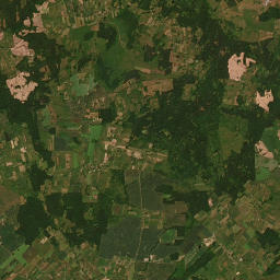 Satelita