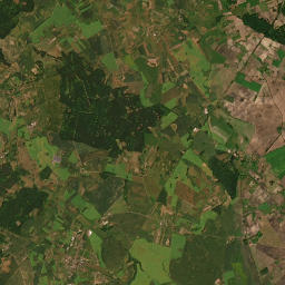 Satelita