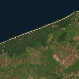 Satelita