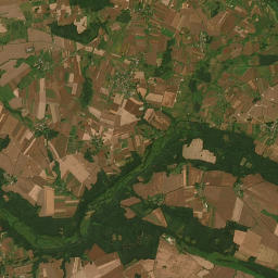 Satelita