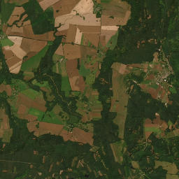 Satelita
