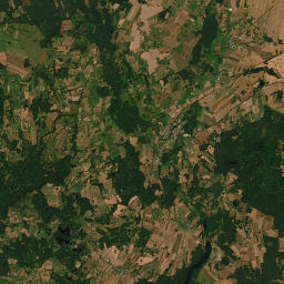 Satelita