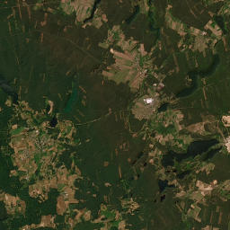 Satelita
