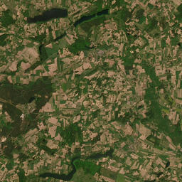 Satelita