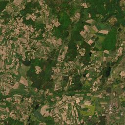 Satelita