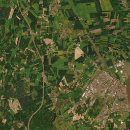 Satelita