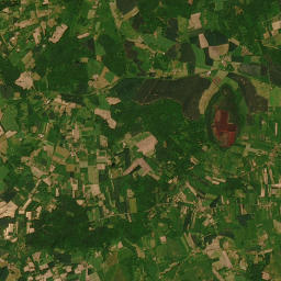 Satelita