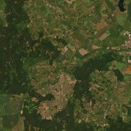 Satelita