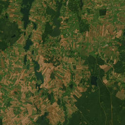 Satelita