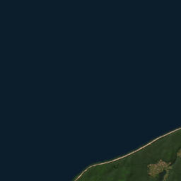 Satelita