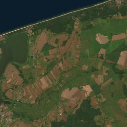 Satelita