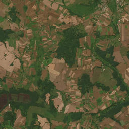 Satelita