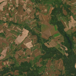 Satelita