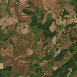 Satelita