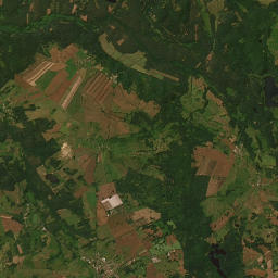 Satelita