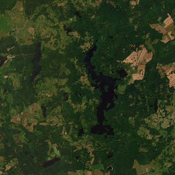 Satelita
