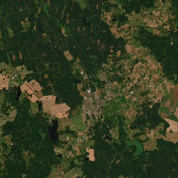 Satelita