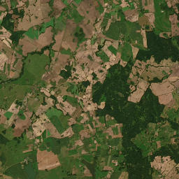Satelita