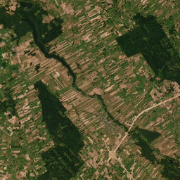Satelita