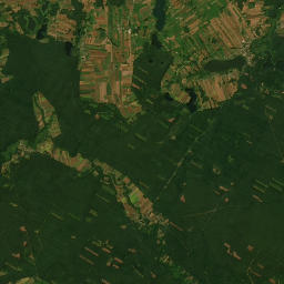 Satelita