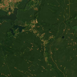 Satelita