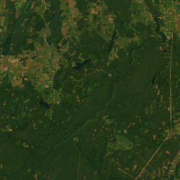 Satelita