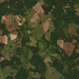 Satelita
