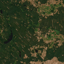 Satelita