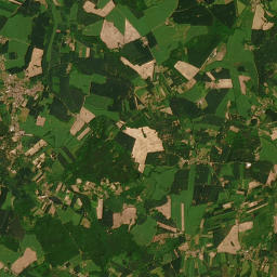 Satelita