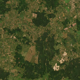 Satelita