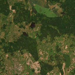 Satelita