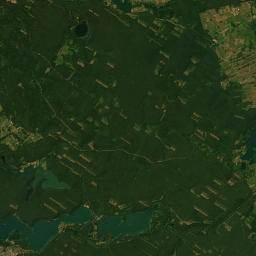 Satelita