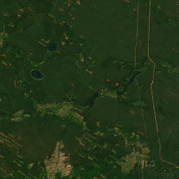 Satelita