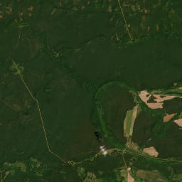 Satelita