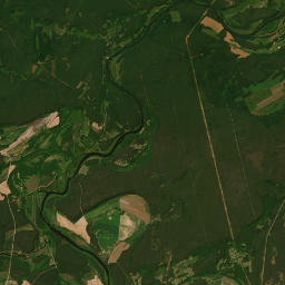Satelita