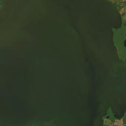 Satelita