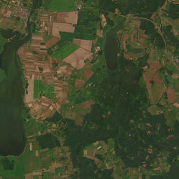 Satelita