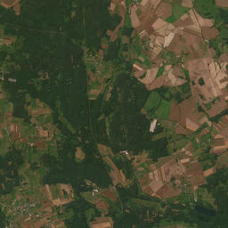 Satelita