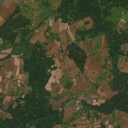 Satelita